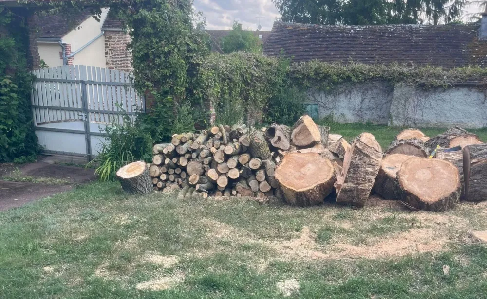 Élagage à Evreux