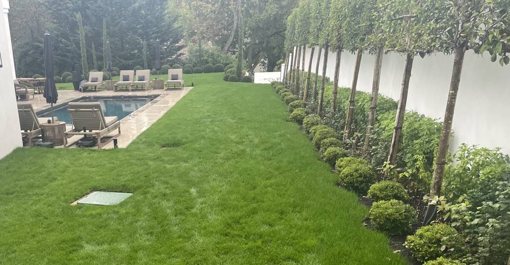 Création complète d'un jardin