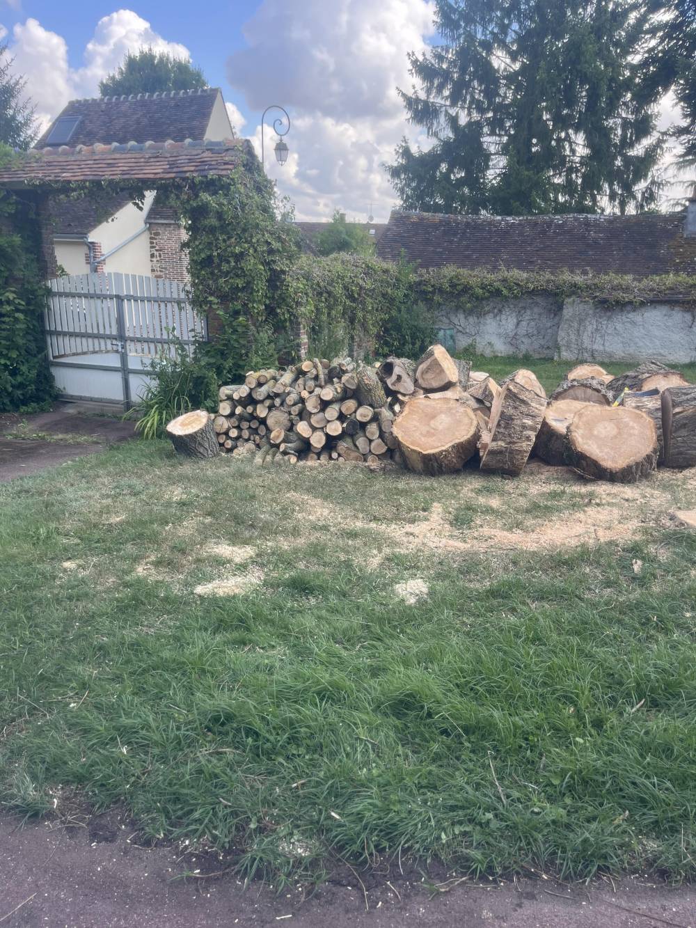 Abattage d'arbre près d'Orgeval