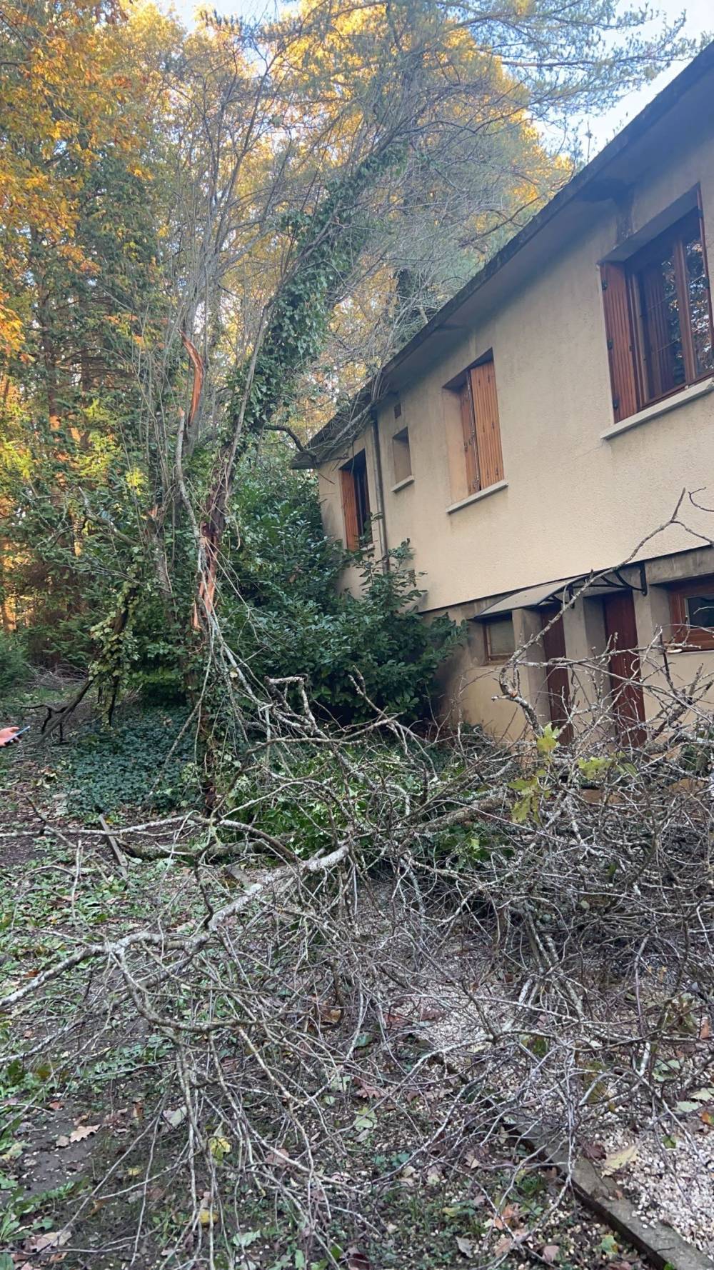 Abattage d'arbre Evreux