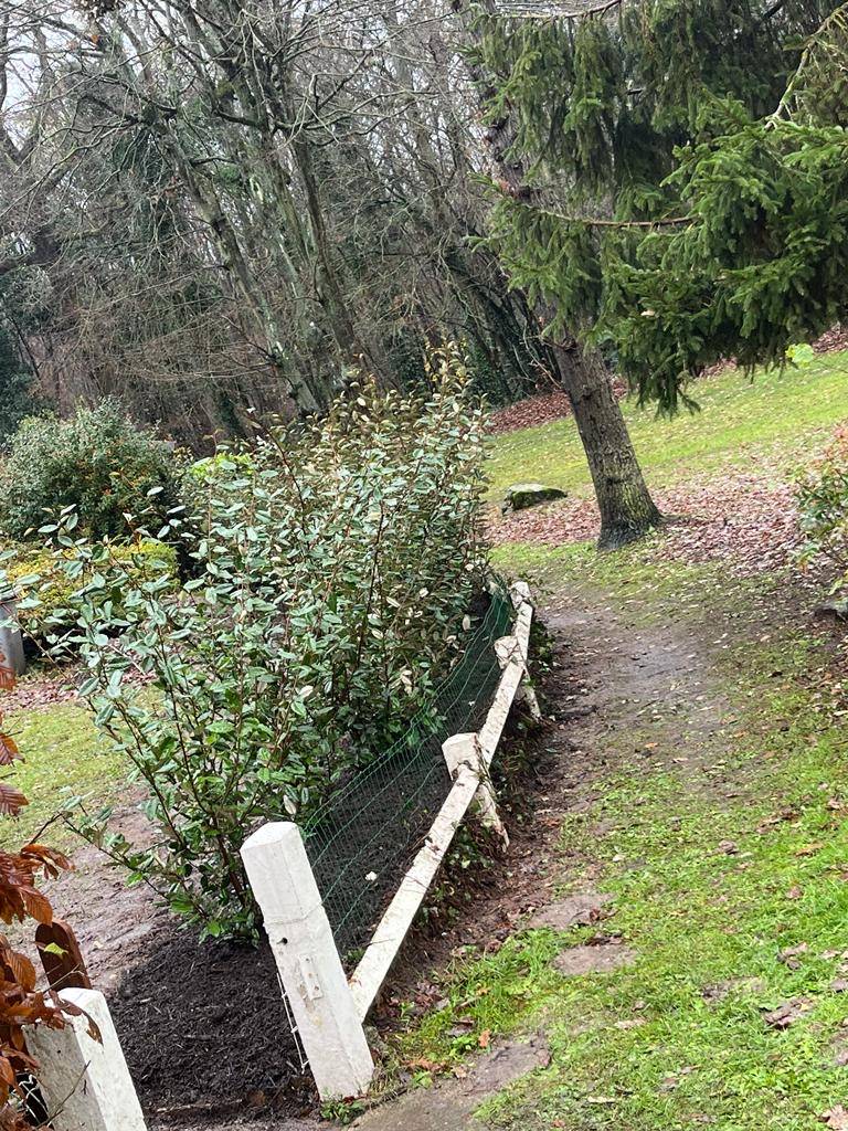 Elagage dans l'Eure