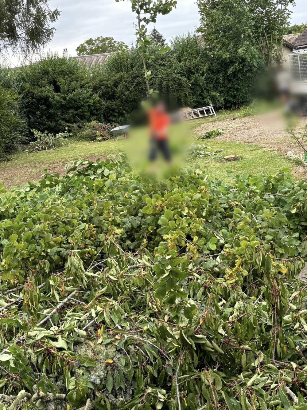 Elagage et Abattage près de Grand Couronne