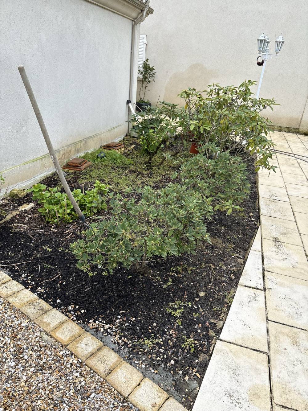 Image (10)