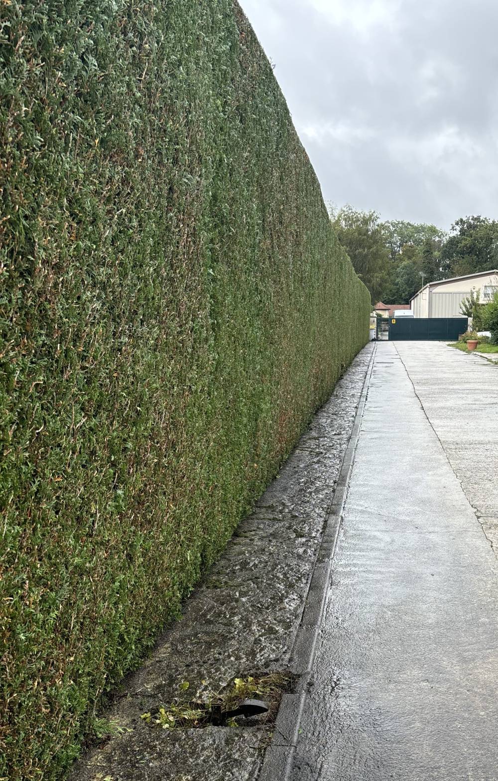 Taille de haie près de Grand Couronne