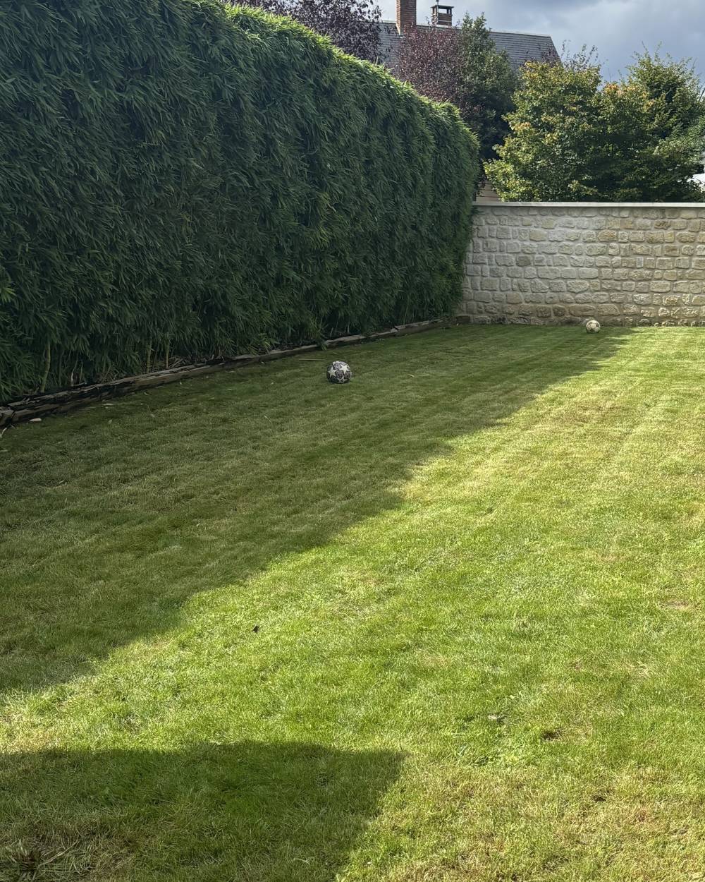 Entretien de jardin près d'Evreux